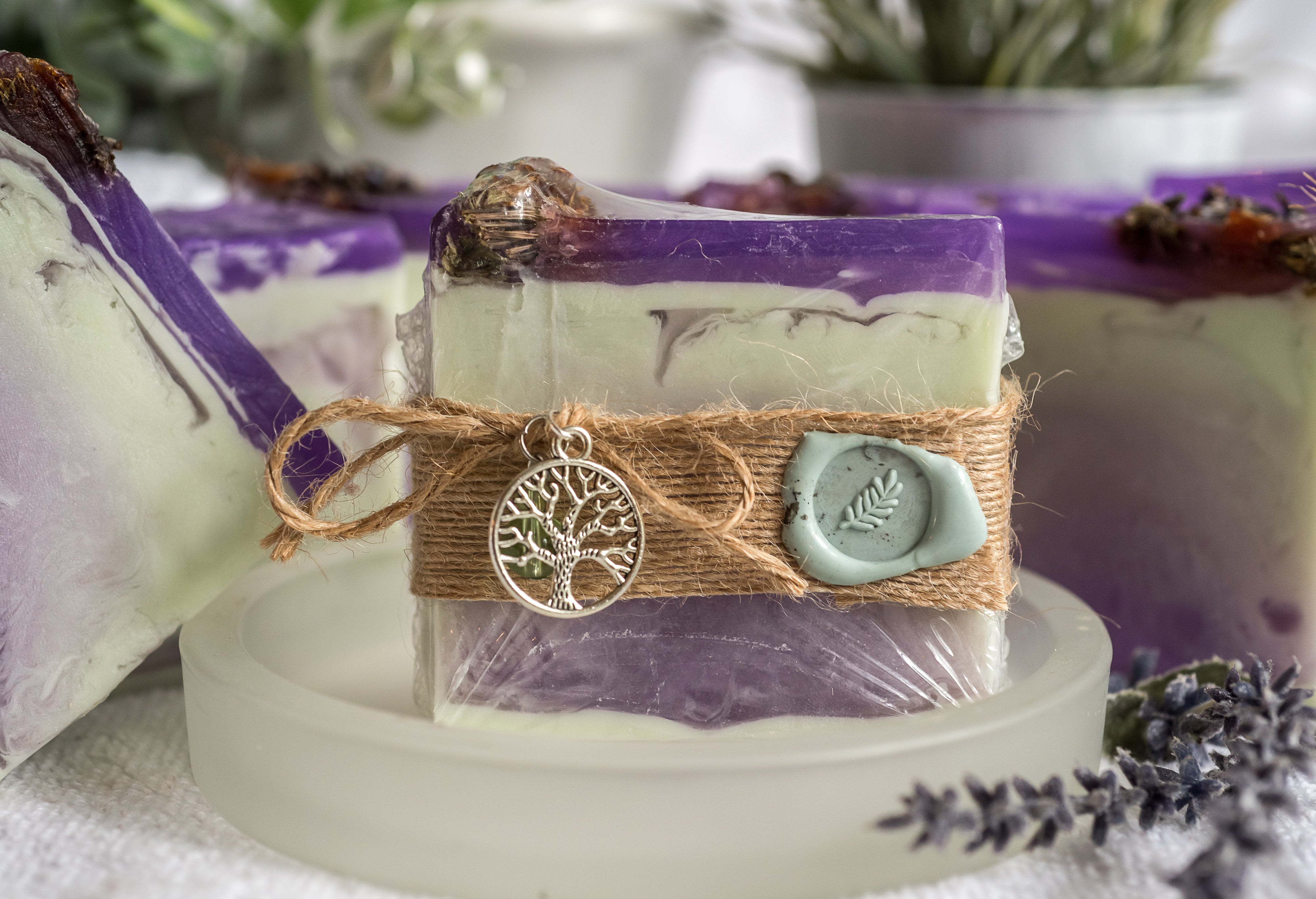 Lavanda/Menta Leche de Cabra y Jabón de Aloe