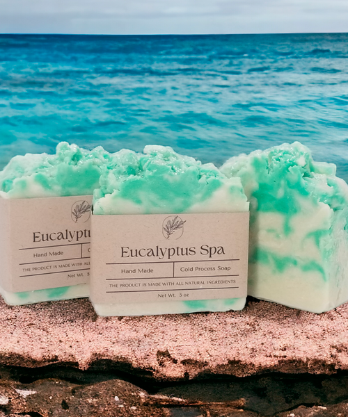 Jabón de proceso en frío hecho a mano "Eucalyptus Spa"