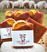 "Orange Cranberry" Hand Crafted Goats Milk Cold Process Soap