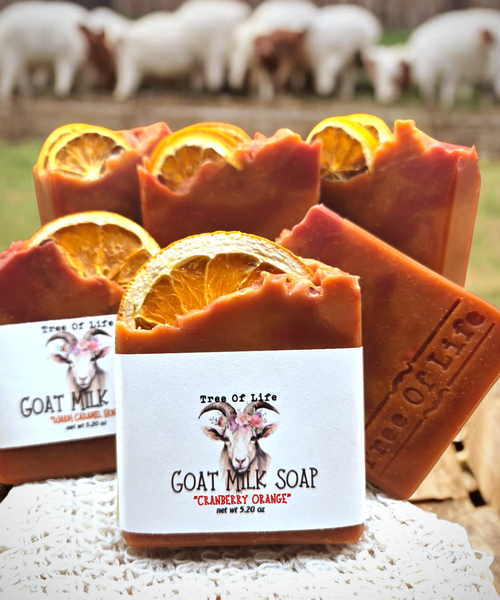 "Orange Cranberry" Hand Crafted Goats Milk Cold Process Soap