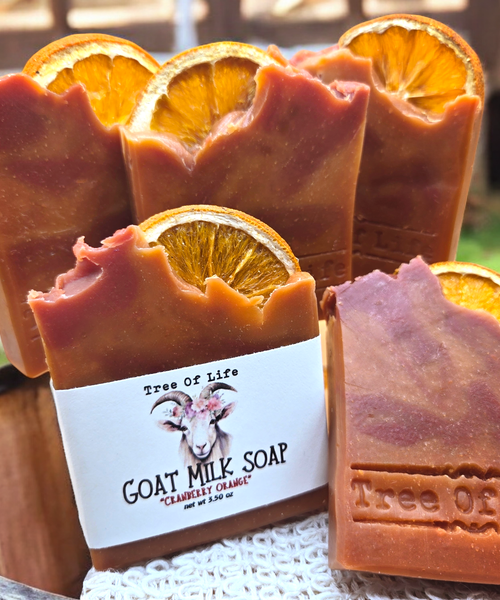 "Orange Cranberry" Hand Crafted Goats Milk Cold Process Soap